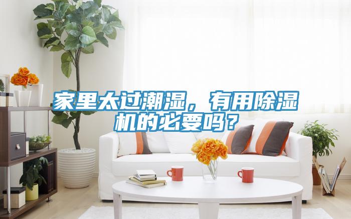 家里太过潮湿，有用91香蕉视频下载网站的必要吗？