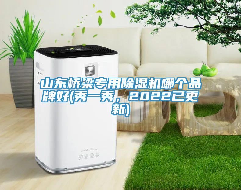 山东桥梁专用91香蕉视频下载网站哪个品牌好(秀一秀，2022已更新)