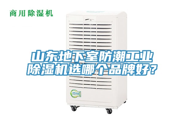 山东地下室防潮工业91香蕉视频下载网站选哪个品牌好？