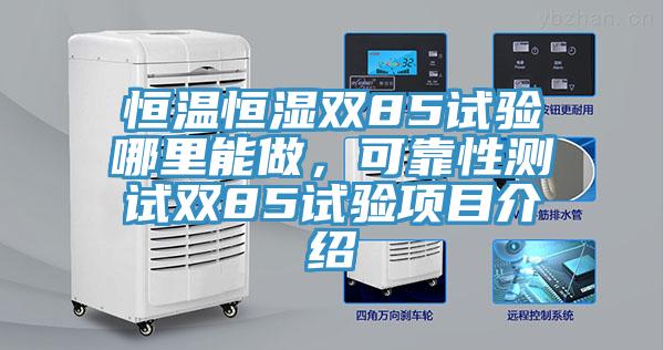 恒温恒湿双85试验哪里能做，可靠性测试双85试验项目介绍