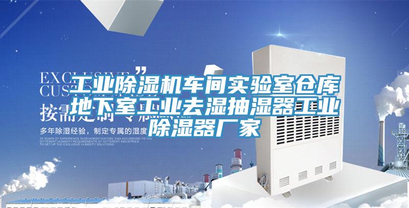 工业91香蕉视频下载网站车间实验室仓库地下室工业去湿抽湿器工业除湿器厂家