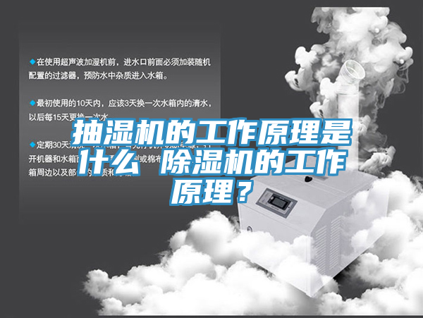 抽湿机的工作原理是什么 91香蕉视频下载网站的工作原理？
