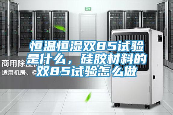 恒温恒湿双85试验是什么，硅胶材料的双85试验怎么做