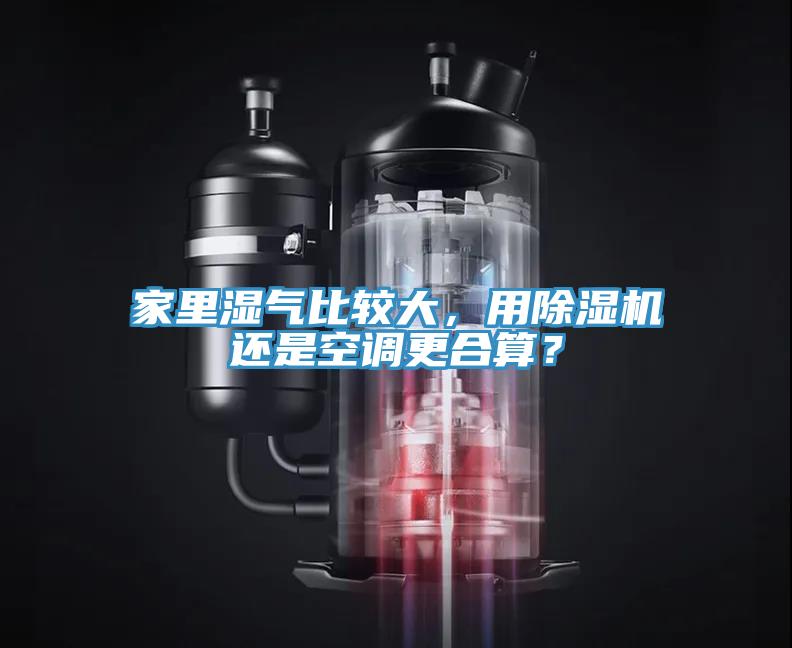 家里湿气比较大，用91香蕉视频下载网站还是空调更合算？
