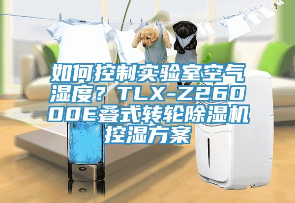 如何控制实验室空气湿度？TLX-Z26000E叠式转轮91香蕉视频下载网站控湿方案