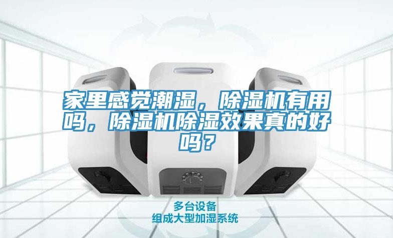 家里感觉潮湿，91香蕉视频下载网站有用吗，91香蕉视频下载网站除湿效果真的好吗？