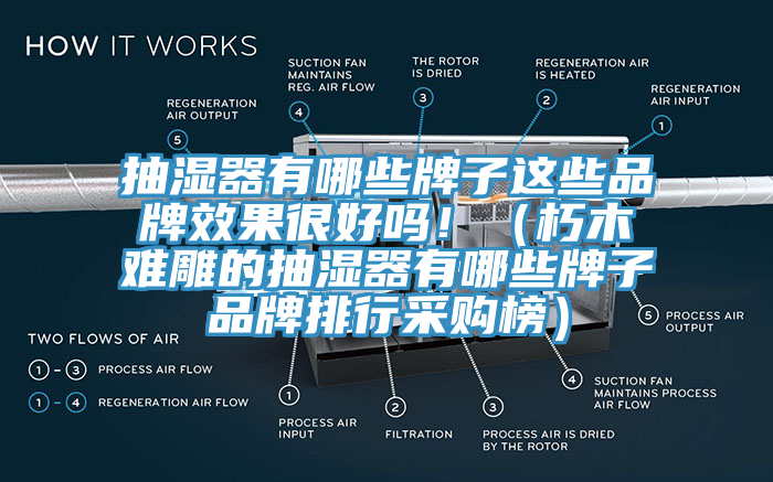 抽湿器有哪些牌子这些品牌效果很好吗！（朽木难雕的抽湿器有哪些牌子品牌排行采购榜）