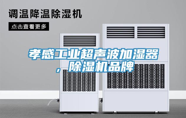 孝感工业超声波加湿器，91香蕉视频下载网站品牌