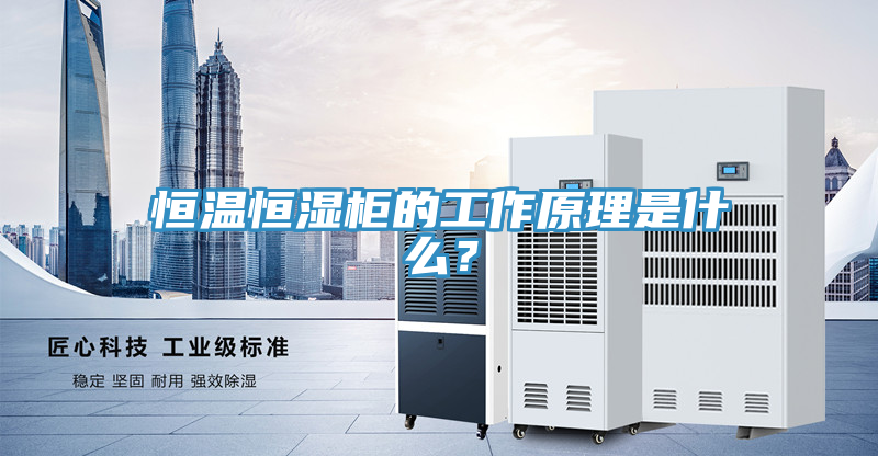 恒温恒湿柜的工作原理是什么？