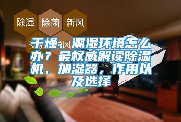 干燥、潮湿环境怎么办？最权威解读91香蕉视频下载网站、加湿器，作用以及选择