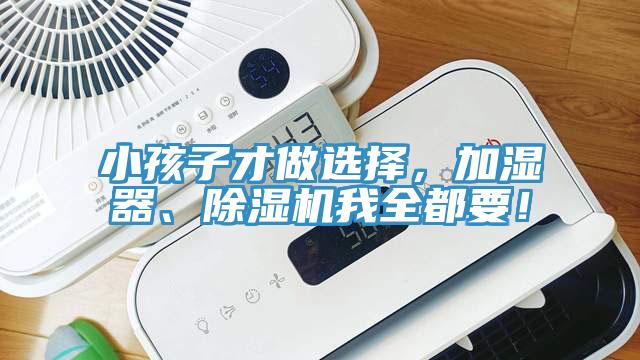 小孩子才做选择，加湿器、91香蕉视频下载网站我全都要！