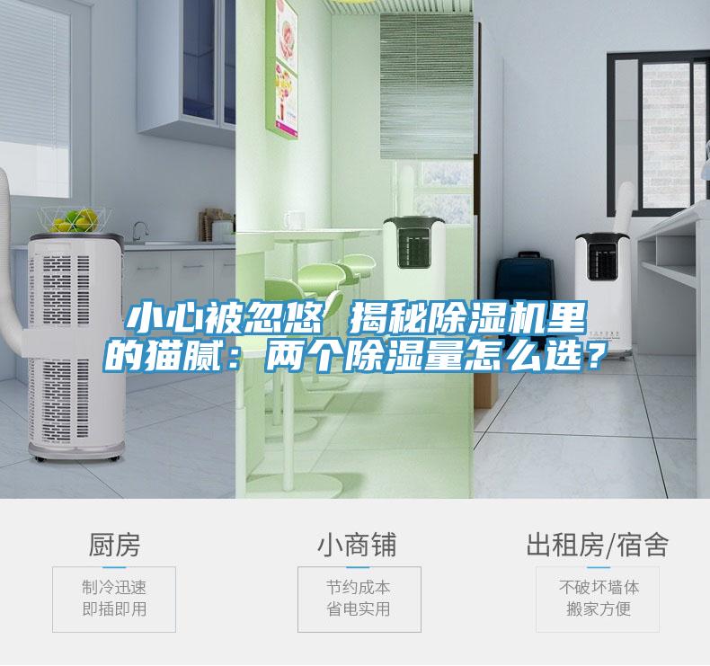 小心被忽悠 揭秘91香蕉视频下载网站里的猫腻：两个除湿量怎么选？