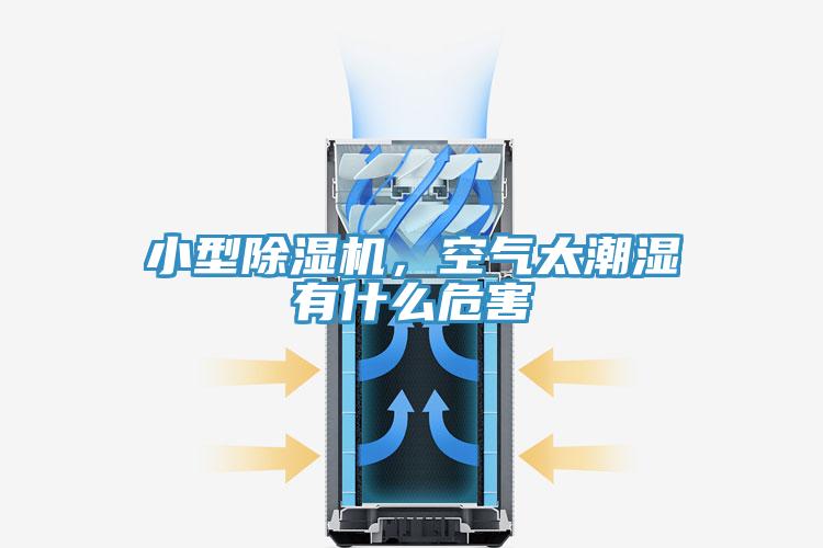 小型91香蕉视频下载网站，空气太潮湿有什么危害