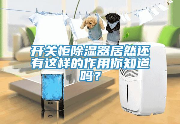 开关柜除湿器居然还有这样的作用你知道吗？