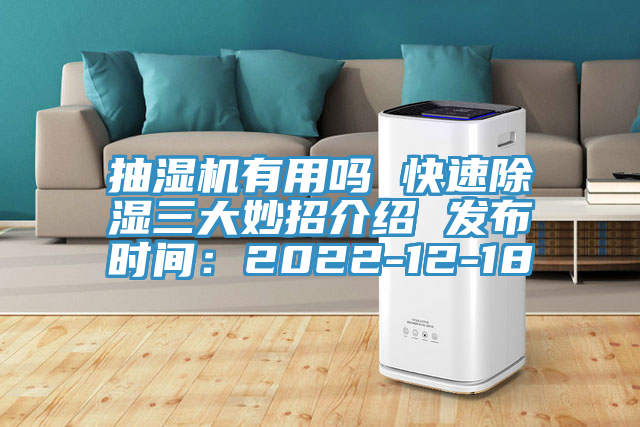 抽湿机有用吗 快速除湿三大妙招介绍 发布时间：2022-12-18