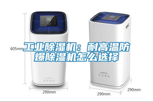 工业91香蕉视频下载网站：耐高温防爆91香蕉视频下载网站怎么选择