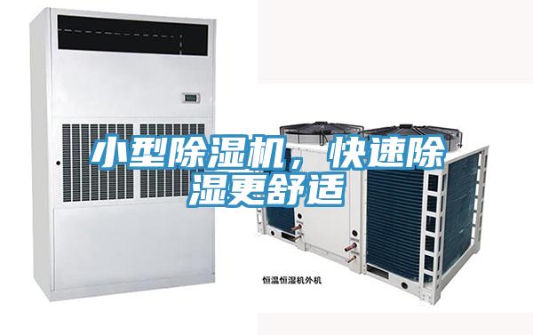 小型91香蕉视频下载网站，快速除湿更舒适