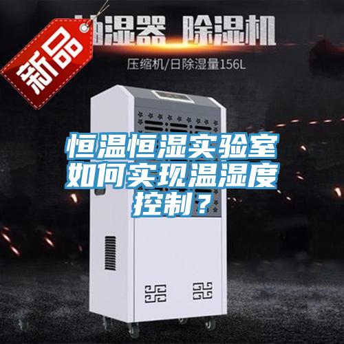 恒温恒湿实验室如何实现温湿度控制？