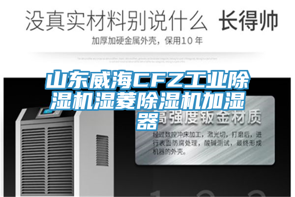 山东威海CFZ工业91香蕉视频下载网站湿菱91香蕉视频下载网站加湿器