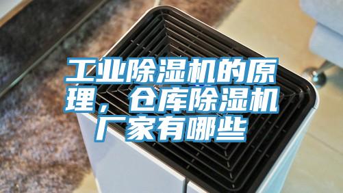 工业91香蕉视频下载网站的原理，仓库91香蕉视频下载网站厂家有哪些