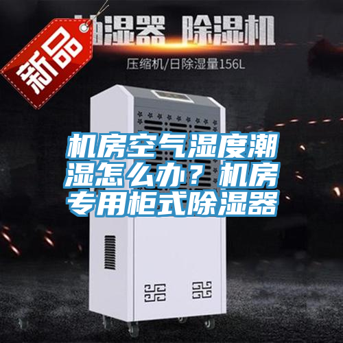 机房空气湿度潮湿怎么办？机房专用柜式除湿器
