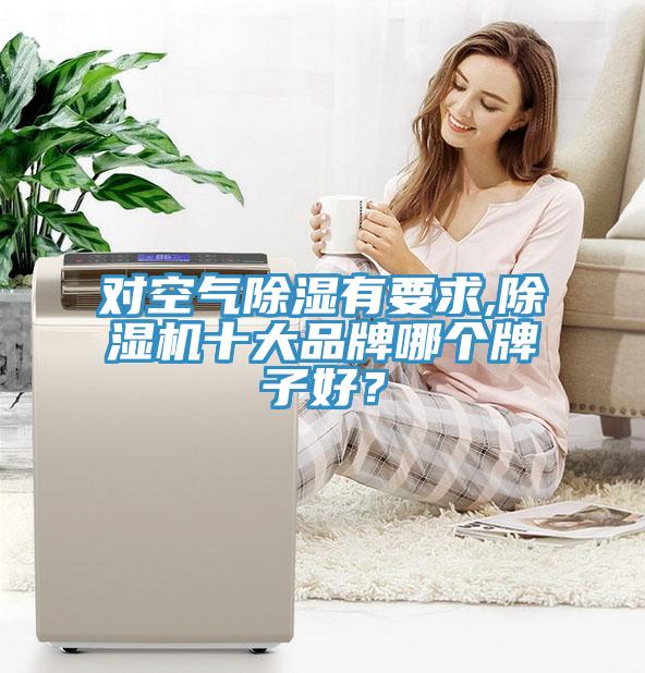 对空气除湿有要求,91香蕉视频下载网站十大品牌哪个牌子好？