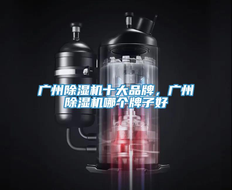 广州91香蕉视频下载网站十大品牌，广州91香蕉视频下载网站哪个牌子好