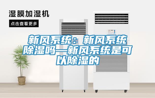 新风系统：新风系统除湿吗—新风系统是可以除湿的