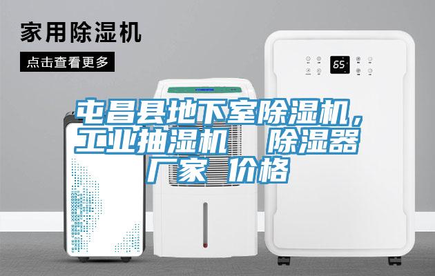 屯昌县地下室91香蕉视频下载网站，工业抽湿机  除湿器厂家 价格