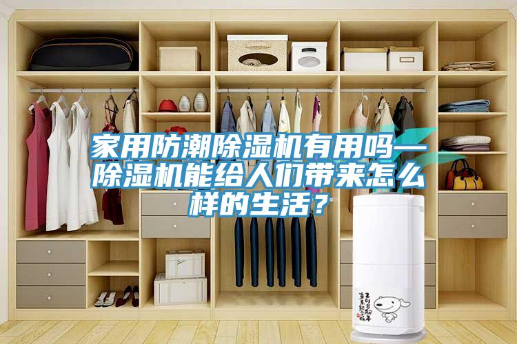 家用防潮91香蕉视频下载网站有用吗—91香蕉视频下载网站能给人们带来怎么样的生活？