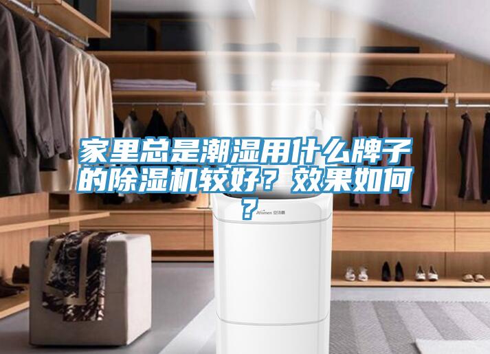 家里总是潮湿用什么牌子的91香蕉视频下载网站较好？效果如何？
