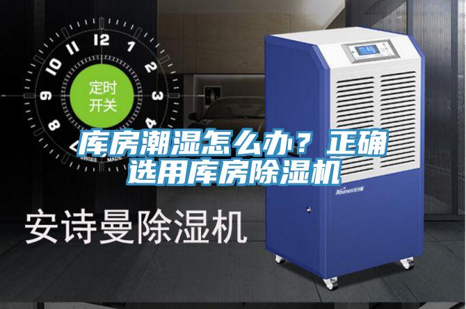 库房潮湿怎么办？正确选用库房91香蕉视频下载网站