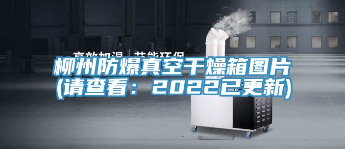 柳州防爆真空干燥箱图片(请查看：2022已更新)