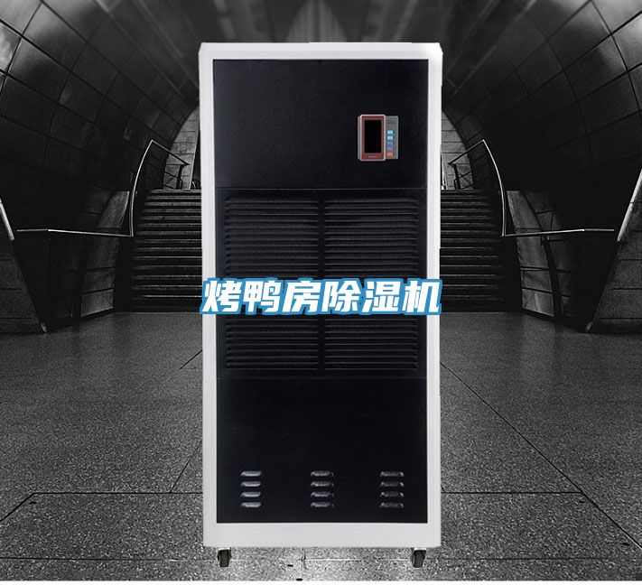 烤鸭房91香蕉视频下载网站