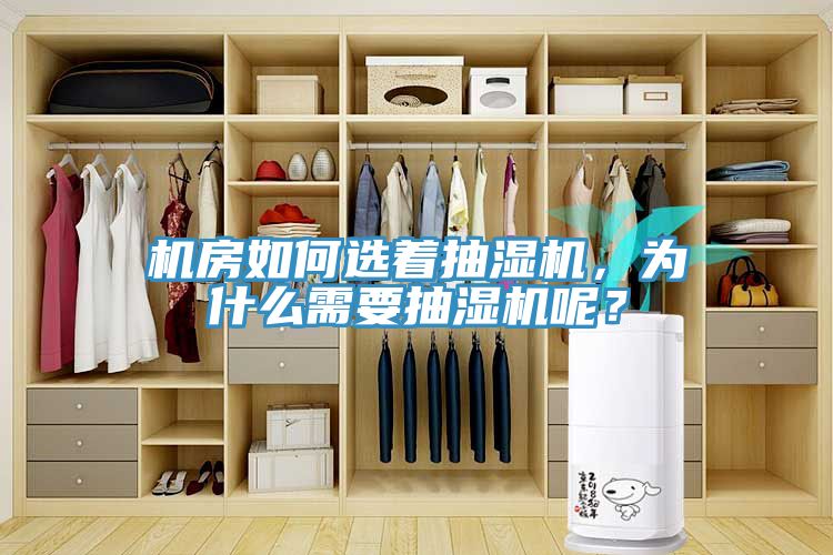 机房如何选着抽湿机，为什么需要抽湿机呢？