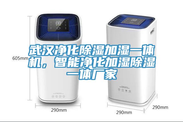 武汉净化除湿加湿一体机，智能净化加湿除湿一体厂家