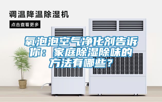 氧泡泡空气净化剂告诉你：家庭除湿除味的方法有哪些？