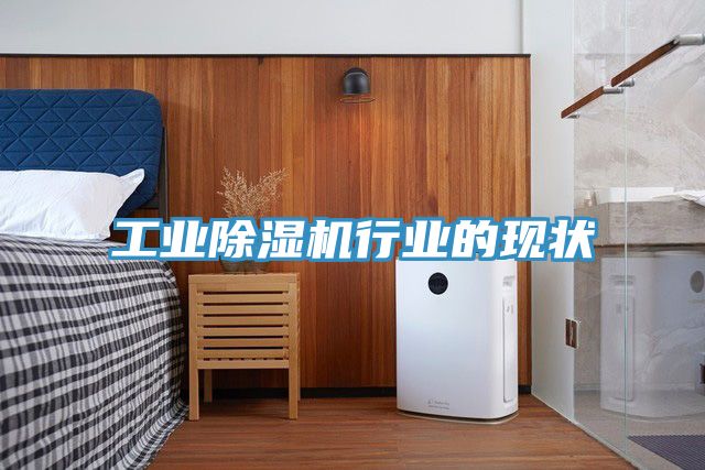 工业91香蕉视频下载网站行业的现状