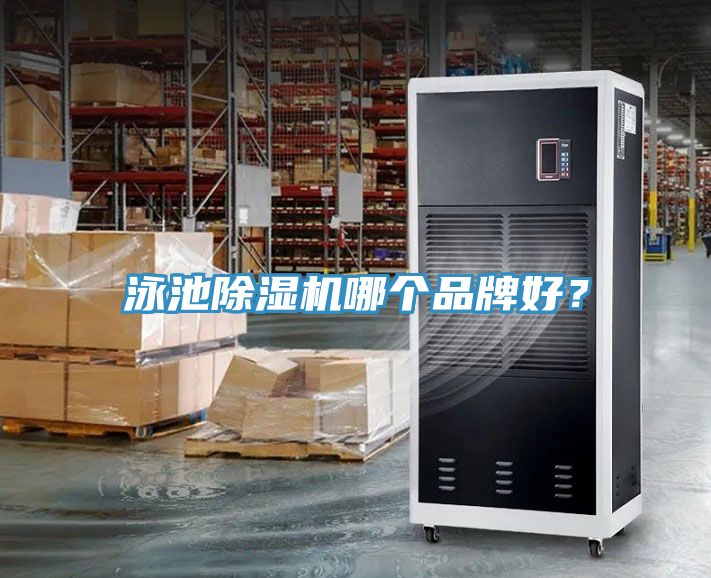 泳池91香蕉视频下载网站哪个品牌好？