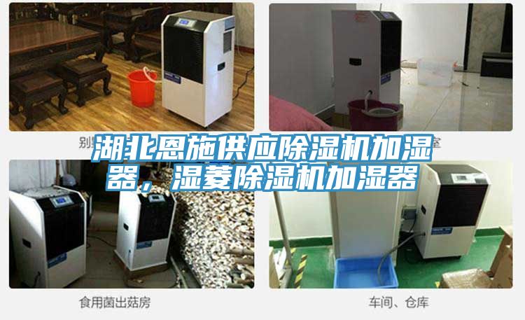 湖北恩施供应91香蕉视频下载网站加湿器，湿菱91香蕉视频下载网站加湿器