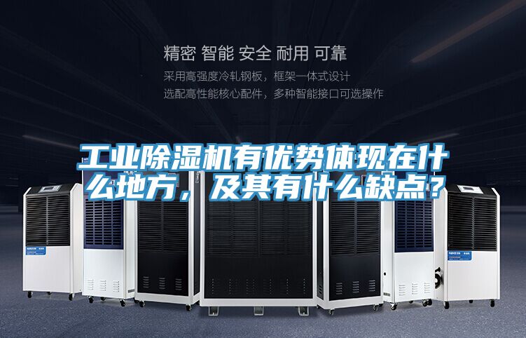 工业91香蕉视频下载网站有优势体现在什么地方，及其有什么缺点？
