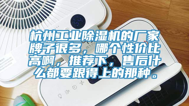 杭州工业91香蕉视频下载网站的厂家牌子很多，哪个性价比高啊，推荐下，售后什么都要跟得上的那种。