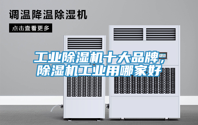 工业91香蕉视频下载网站十大品牌，91香蕉视频下载网站工业用哪家好