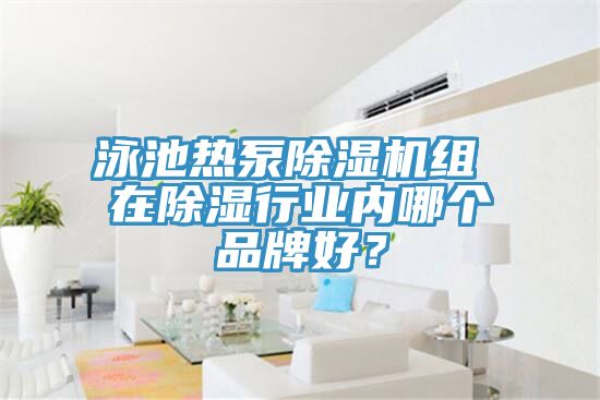泳池热泵91香蕉视频下载网站组 在除湿行业内哪个品牌好？