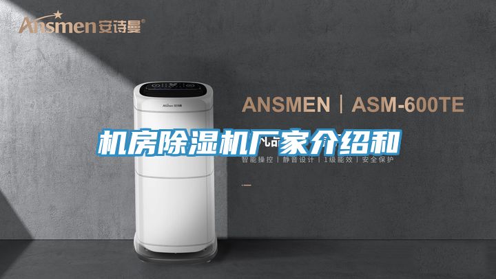 机房91香蕉视频下载网站厂家介绍和