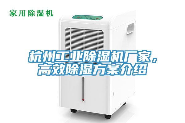 杭州工业91香蕉视频下载网站厂家，高效除湿方案介绍