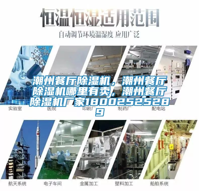 潮州餐厅91香蕉视频下载网站，潮州餐厅91香蕉视频下载网站哪里有卖，潮州餐厅91香蕉视频下载网站厂家18002525289