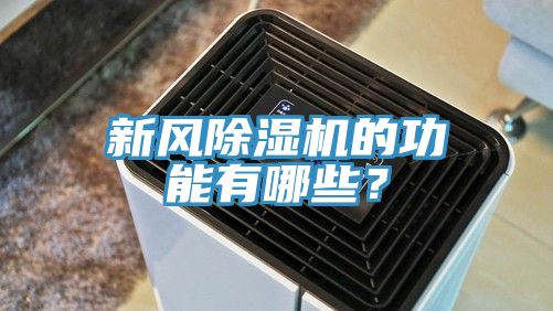 新风91香蕉视频下载网站的功能有哪些？