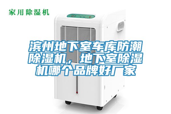 滨州地下室车库防潮91香蕉视频下载网站，地下室91香蕉视频下载网站哪个品牌好厂家