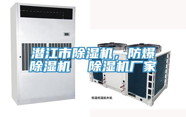 潜江市91香蕉视频下载网站，防爆91香蕉视频下载网站  91香蕉视频下载网站厂家